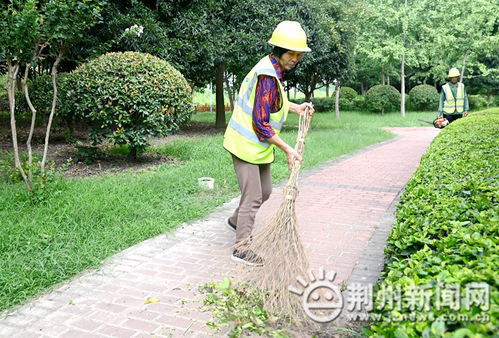 高温下的劳动者 园林绿化夫妻档 浇 出城市新气象