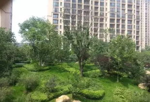 这些园林绿化工程施工技术规范,值得你花时间学习一下