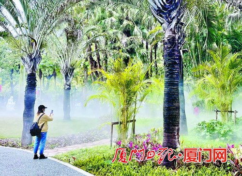 中山公园绿化景观改造提升完工在即 亮点多多值得期待