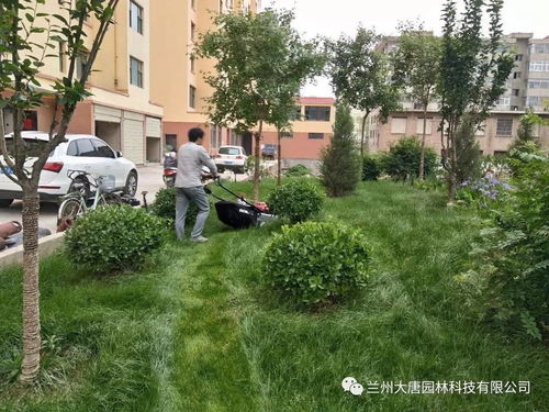 临洮怡康苑住宅小区园林景观绿化工程