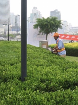 齐河县招聘省道施工地表普工
