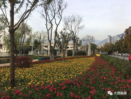 加强园林绿化建设管理 着力提升城市 高颜值