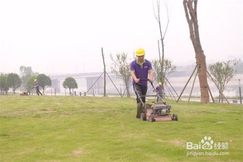 成都园林绿化养护修剪施工方案及操作规范