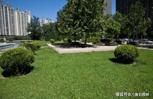 园林绿化之造景理念创新思维 八音石园林
