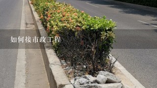 市政园林绿化工程施工如何承包?如何接市政工程