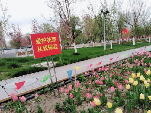 多措并举推进 护花 管理