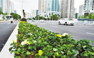 广西第一路 你一定没见过这样的民族大道