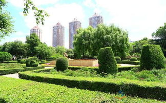 园林绿化施工的五大注意事项,知识要点