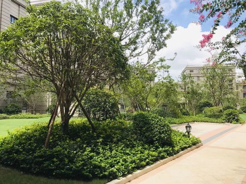农工商绿化 工程项目荣获上海市 园林杯 优质工程金奖及优质工程奖