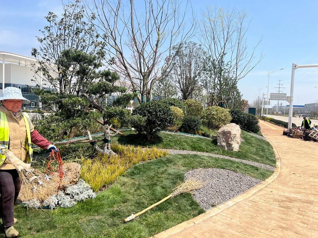 园林绿化工程 #施工现场实拍