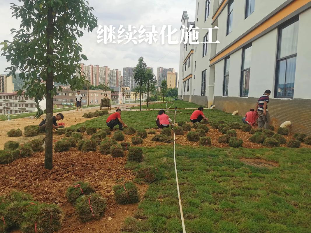 施工现场实拍 #记录工地上的点点滴滴 #工程人 #园林绿化