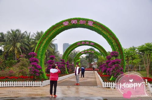 景区景观五色草真植物雕塑批发价 四川雕塑厂专业定制