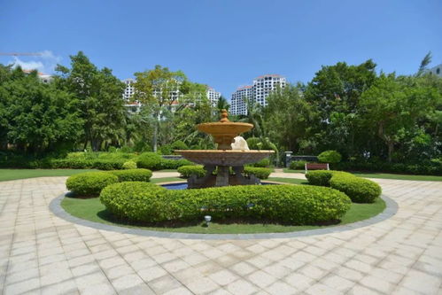 一篇园林绿化施工的流程步骤送给你,爱学习的你要收藏哦