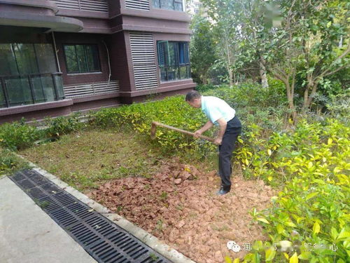 亮点 高端物业园林升级改造,家园焕新颜