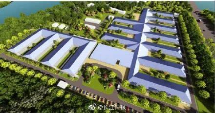 9天铸成 火神山奇迹 ,有水有电有树,还有中百仓储店