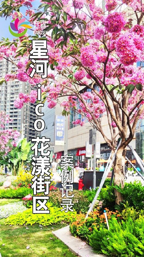 深圳龙华星河ico花漾街区 案例记录 园林绿化 花境设计 园林设计施工 主题街区改造