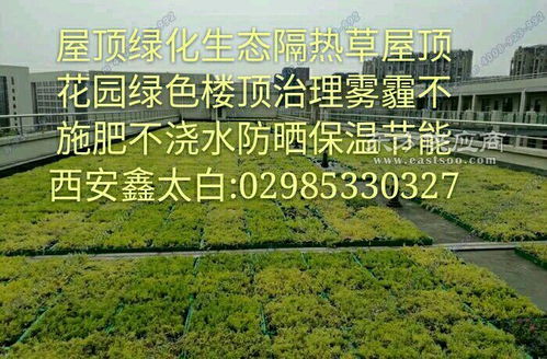 客土喷播施工方案屋顶花园园林绿化屋顶绿化