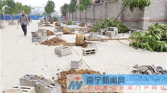 广西 南宁一小区现奇葩绿化工程 大理石板上种树