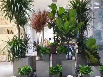 图 东莞城区专业墅庭院花园设计施工园林园艺设计绿化工程养护 东莞鲜花绿植 东莞列表网