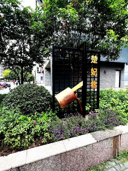 藏在中山北路丨潮新闻邀你一起寻宝藏 这里有最适合citywalk的烟火老市井