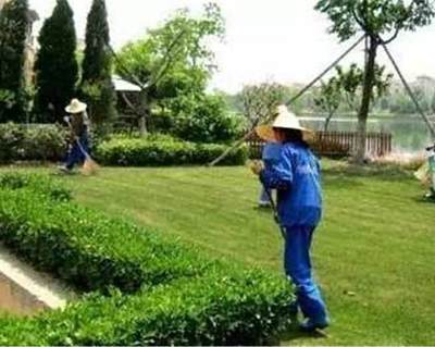 园林绿化与景观设计 全方位绿化工程服务解决方案