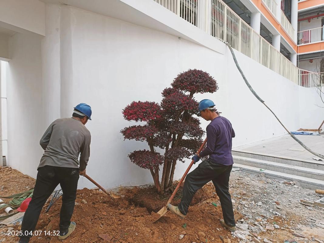 园林绿化工程 在忙碌中铸就绿色梦想