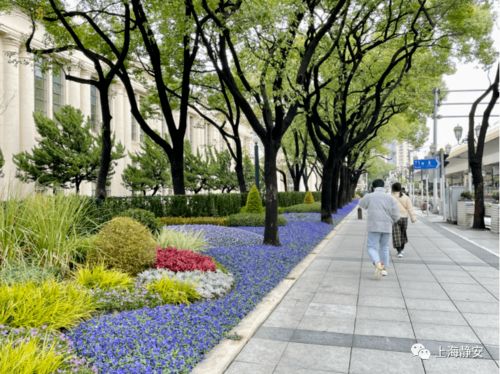 上海展览中心化身城市绿洲 园林绿化工程打造生态新景观
